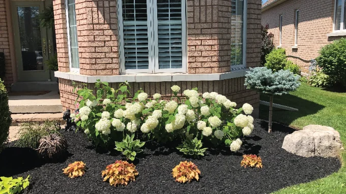 Garden Maintenance & Planting