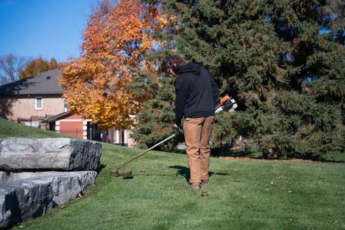 Grass Cutting
