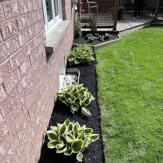 Mulch Installation