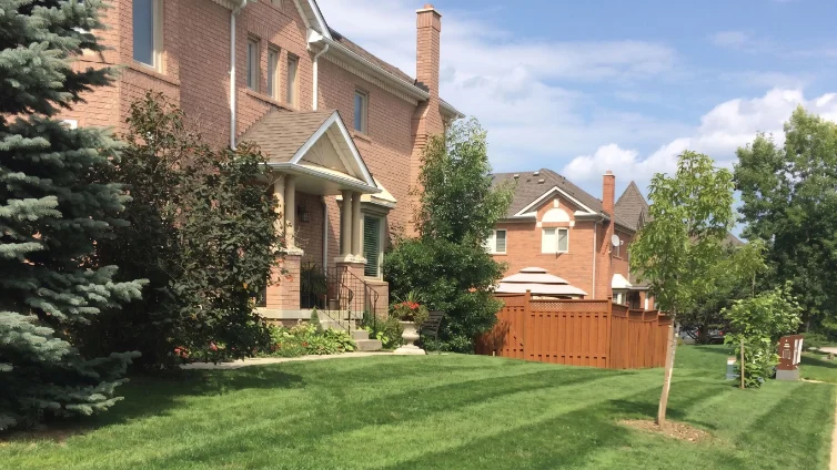 Sod Installation