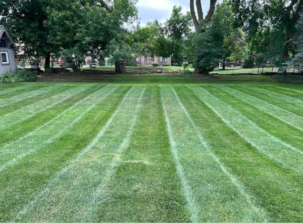 Grass Cutting Services